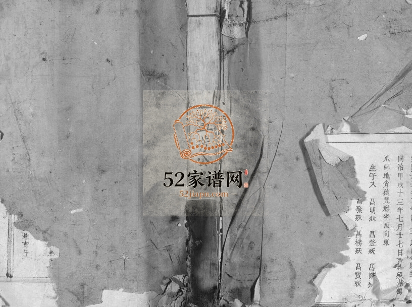 1919年汝南应氏八修族谱 福建三明建宁 江西兴国 于都应姓电子版家谱下载