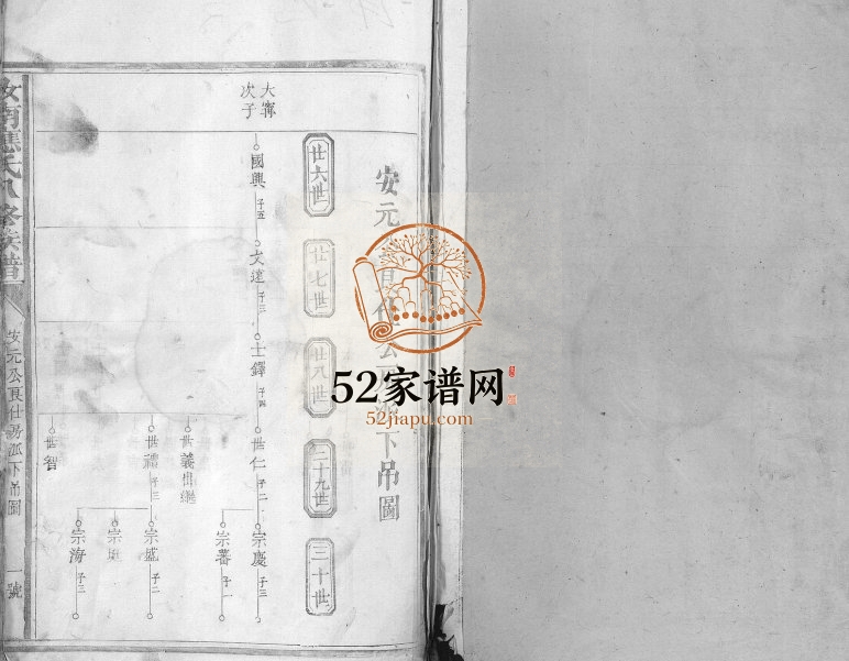 1919年汝南应氏八修族谱 福建三明建宁 江西兴国 于都应姓电子版家谱下载