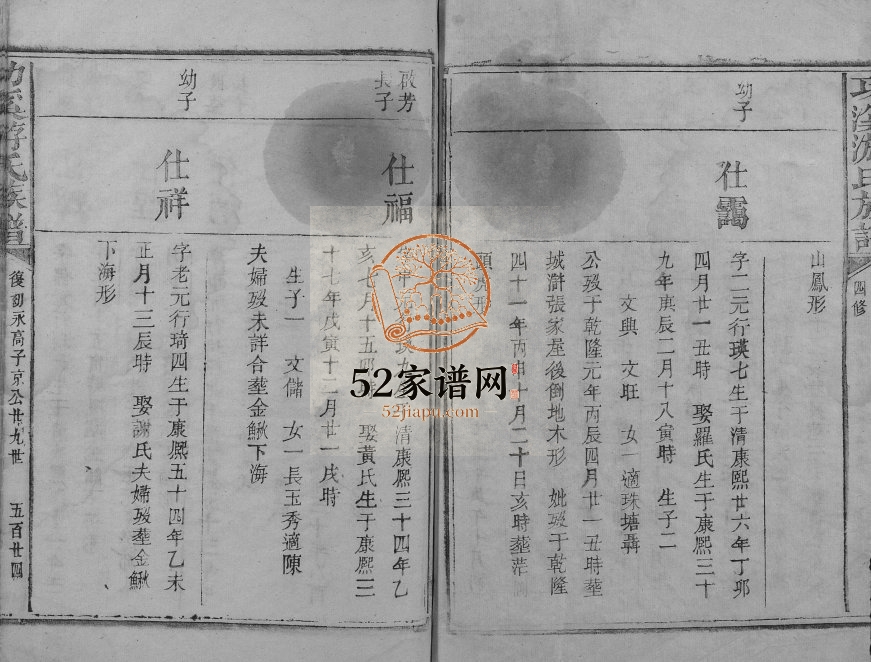 1830年四修功溪游氏族谱 江西乐安广平堂游姓电子版家谱下载