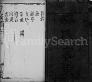 1876年续修游氏家乗[卷数不明]江西丰城讨论堂游姓电子版族谱下载