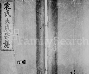 1921年十修袁氏大成宗谱[8卷]广东龙川 江西铜鼓 赣县汝南堂袁姓电子版族谱下载