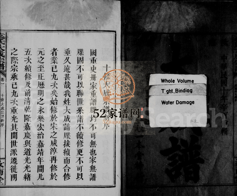 1921年十修袁氏大成宗谱[8卷]广东龙川 江西铜鼓 赣县汝南堂袁姓电子版族谱下载