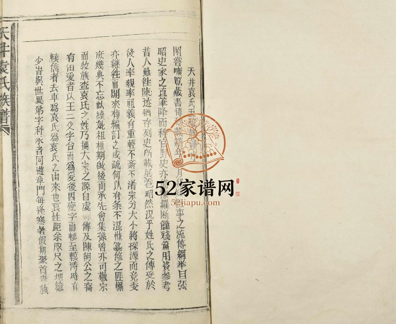 1992年修天井袁氏族谱 江西丰城袁姓电子版家谱下载