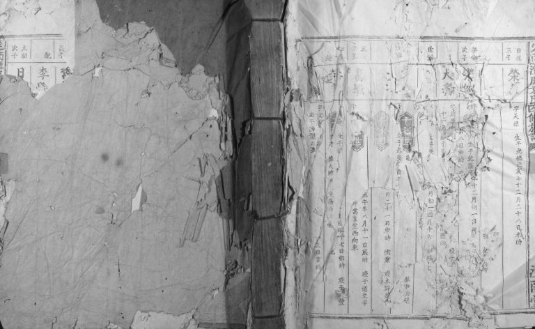 1902年定南潭庆袁氏四修族谱 江西信丰汝南堂袁姓电子版家谱下载