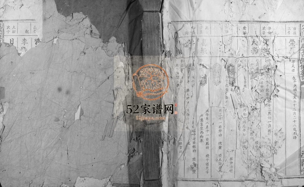 1902年定南潭庆袁氏四修族谱 江西信丰汝南堂袁姓电子版家谱下载
