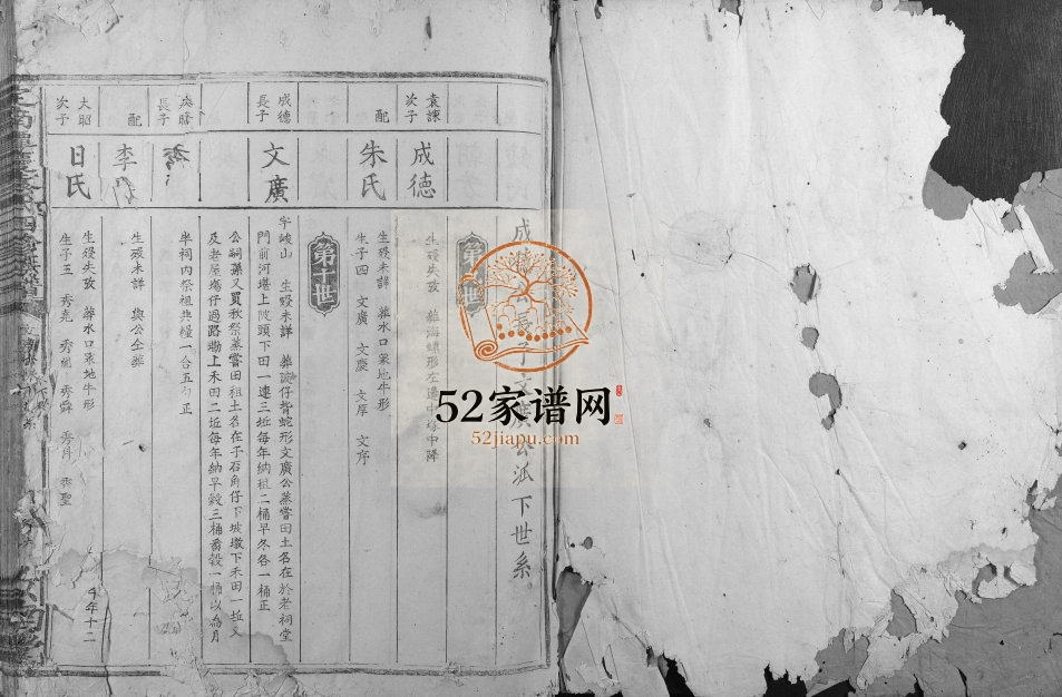 1902年定南潭庆袁氏四修族谱 江西信丰汝南堂袁姓电子版家谱下载