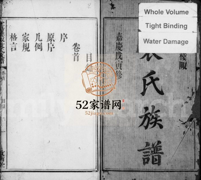 1818年修宜阳楼陬袁氏族谱[2卷首尾各1卷]江西宜春汝南堂袁姓电子版家谱下载