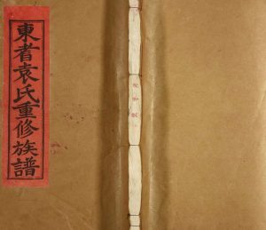 1990年东耆袁氏重修族谱 江西抚州 崇仁袁姓电子版家谱下载