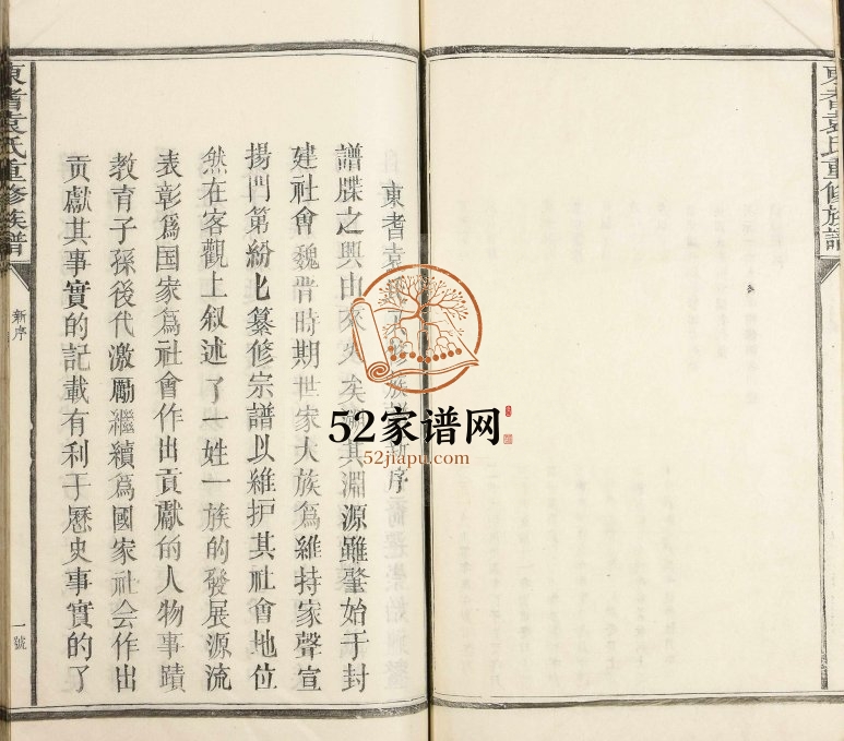 1990年东耆袁氏重修族谱 江西抚州 崇仁袁姓电子版家谱下载