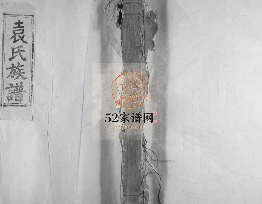 1908年修泰和城西后街袁氏族谱[不分卷]江西袁姓电子版家谱下载