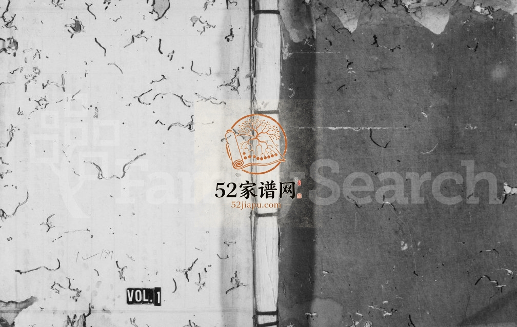 1913年袁氏合修族谱[卷数未列]江西元德堂袁姓电子版家谱下载