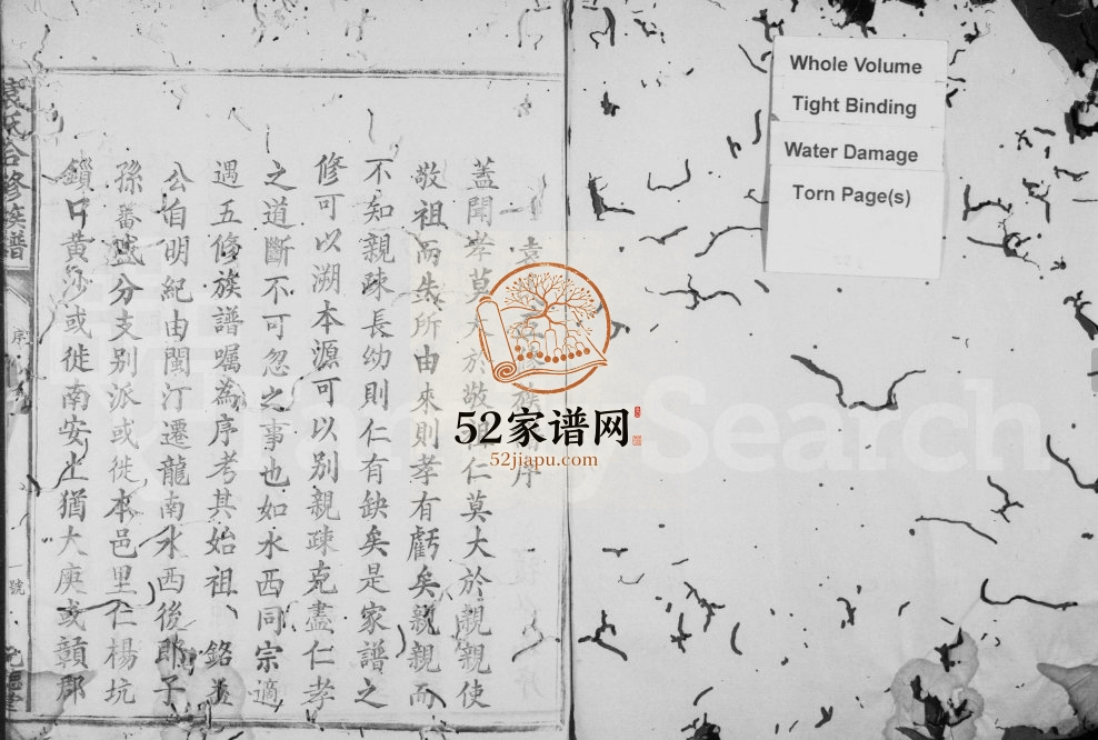 1913年袁氏合修族谱[卷数未列]江西元德堂袁姓电子版家谱下载