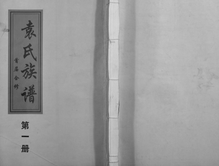 2005年袁氏首届合修族谱 江西丰城三乐堂袁姓电子版家谱下载