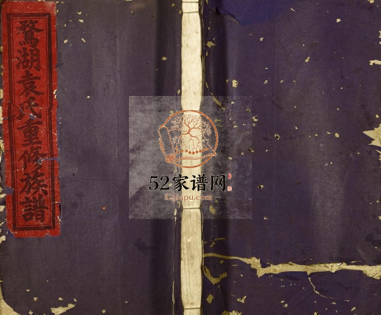 1926年鹜湖袁氏重修宗谱 江西宜春汝南堂袁姓电子版族谱下载