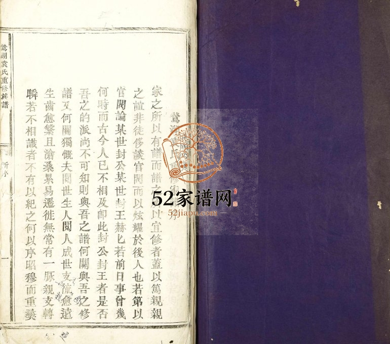 1926年鹜湖袁氏重修宗谱 江西宜春汝南堂袁姓电子版族谱下载