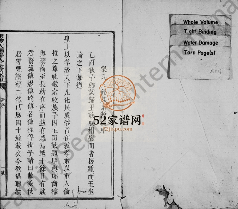 1885年南阳乐氏三修族谱[2卷]江西永丰 兴国乐姓电子版家谱下载