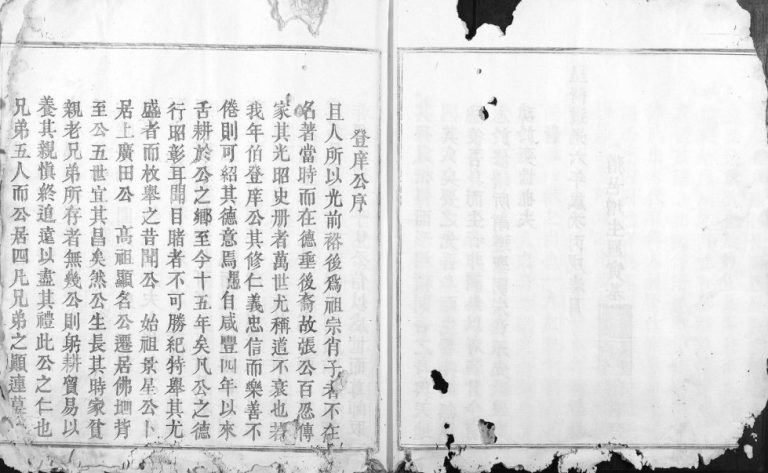 1916年南安四邑张续修族谱[不分卷]江西大庾电子版家谱下载