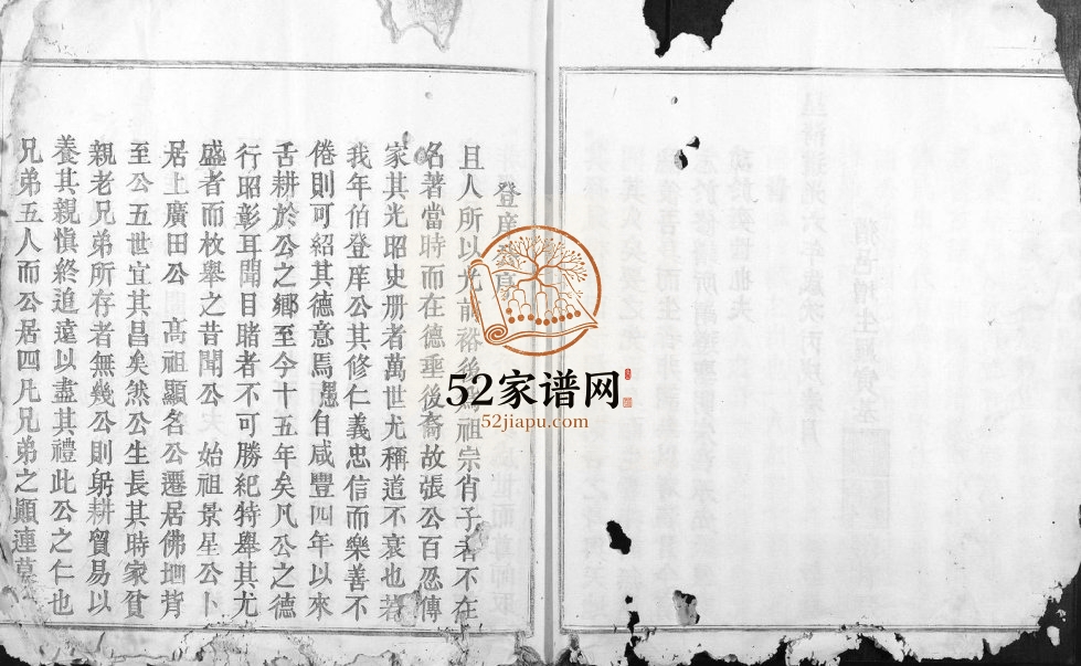 1916年南安四邑张续修族谱[不分卷]江西大庾电子版家谱下载