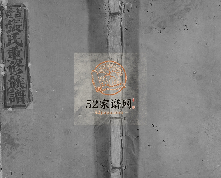 1900年吉丰张氏重修族谱[不分卷]江西丰城张姓电子版家谱下载