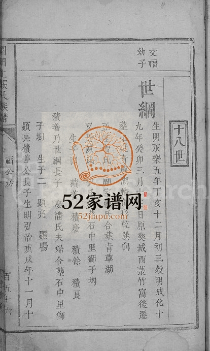 1770年修围田上张氏族谱[残卷]江西赣县张姓电子版家谱下载