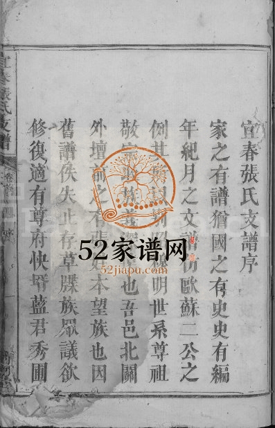 1871年修宜春张氏支谱[3卷首末各1卷]江西清河堂张姓电子版族谱下载