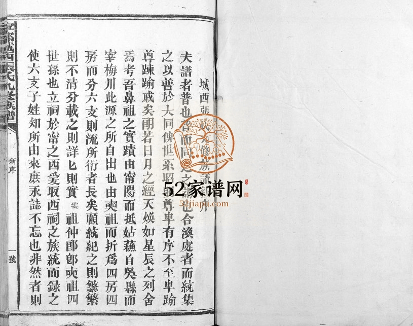 1947年宁都城西张氏九修族谱[9卷]江西张姓电子版家谱下载