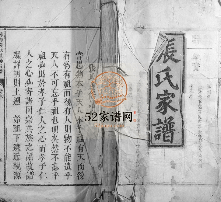 1829年修宁都张氏重修房谱 江西张姓电子版族谱下载