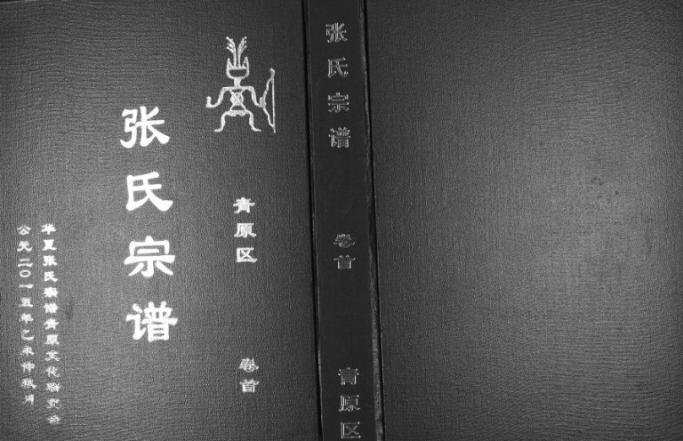 2015年修张氏宗谱[12卷首1卷]江西吉安张姓电子版族谱下载