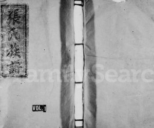 1949年信丰安息中堡兰州张氏八修族谱[9卷]江西张姓电子版家谱下载