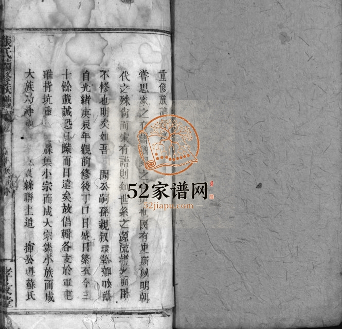 1913年张氏续修族谱[8卷]福建上杭 江西万载孝友堂张姓电子版家谱下载