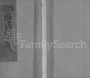 1993年修清河张氏宗谱[残卷]江西广信张姓电子版族谱下载