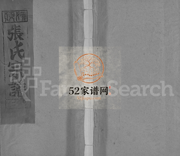 1993年修清河张氏宗谱[残卷]江西广信张姓电子版族谱下载