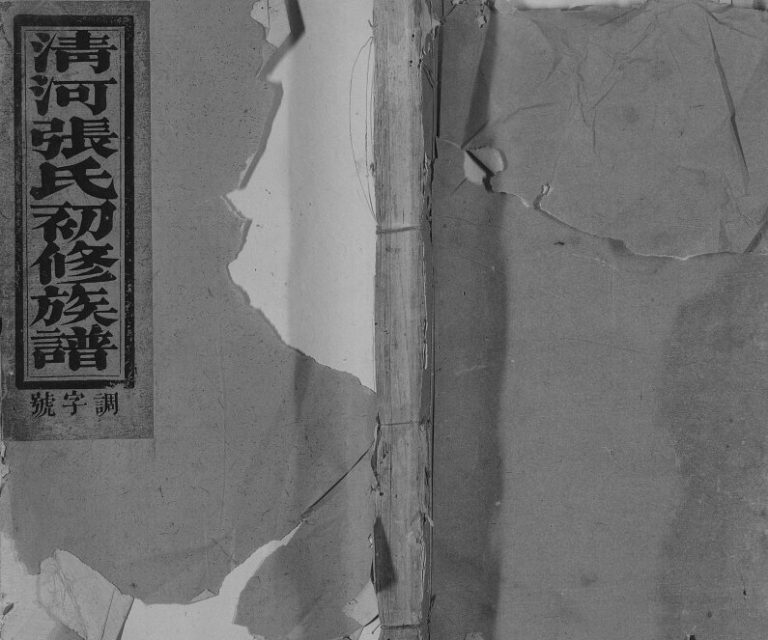 1880年瑞金张氏初修族谱 江西张姓电子版家谱下载