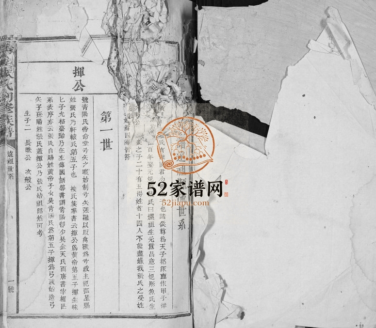 1879年瑞金张氏初修族谱 江西张姓电子版家谱下载