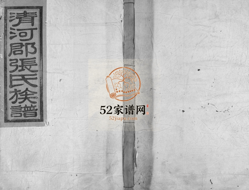 1944年甲申重修湖头张氏族谱[15卷]江西宁都张姓电子版家谱下载