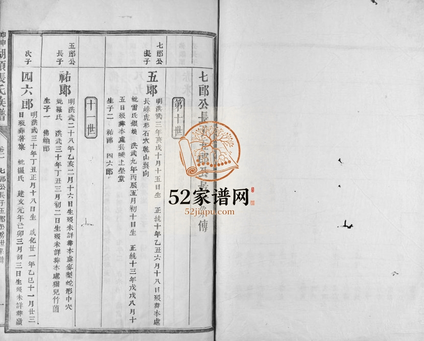 1944年甲申重修湖头张氏族谱[15卷]江西宁都张姓电子版家谱下载