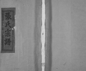 1998年修纪纲张氏宗谱[25卷末1卷]江西乐平张姓电子版族谱下载
