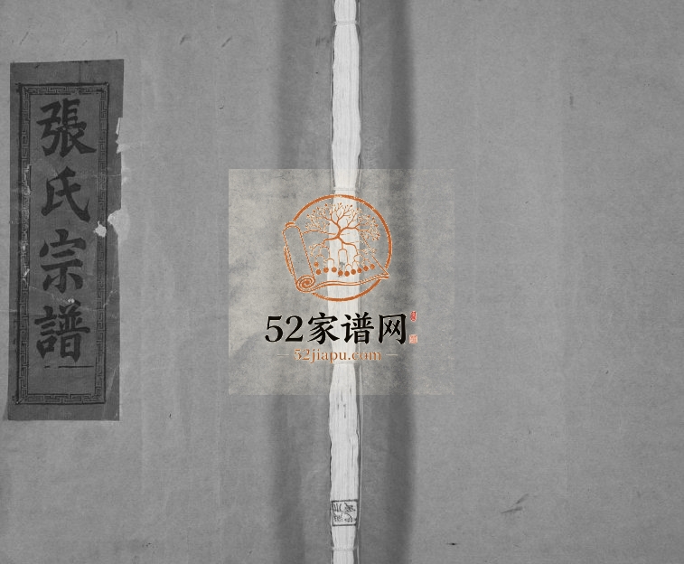1998年修纪纲张氏宗谱[25卷末1卷]江西乐平张姓电子版族谱下载