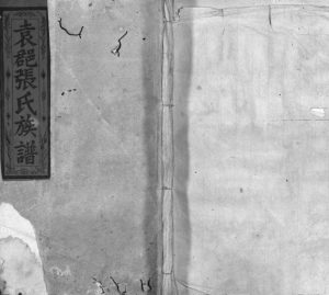 1940年四修袁𨛦张氏族谱[16卷含首1卷]江西万载清河堂张姓电子版家谱下载