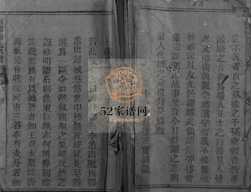 1890年修西源张氏宗谱 江西南城张姓电子版族谱下载
