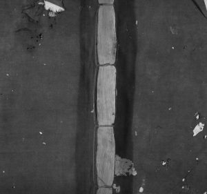 1881年修丰邑中官田张氏房谱[不分卷]福建上杭 江西丰城张姓电子版族谱下载