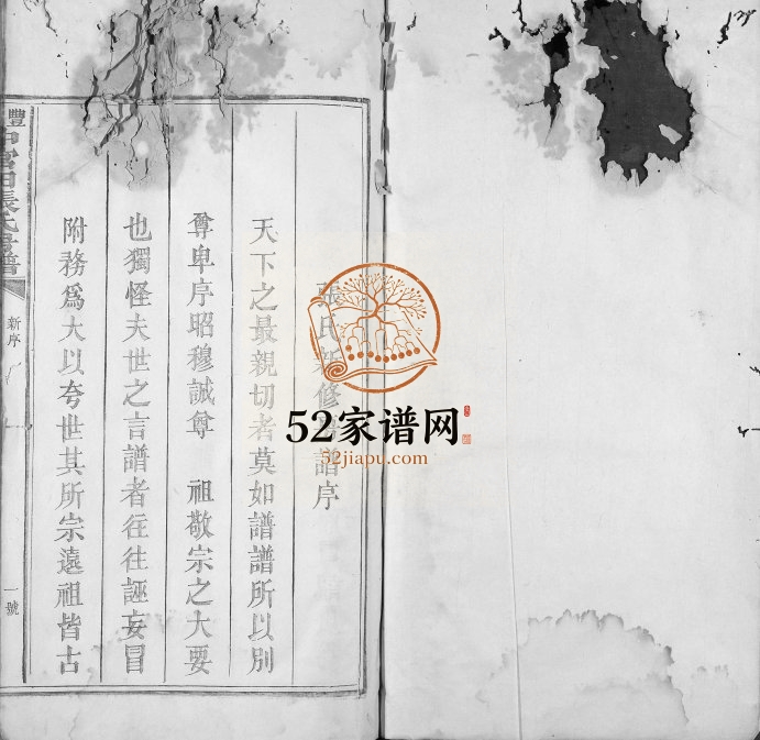 1881年修丰邑中官田张氏房谱[不分卷]福建上杭 江西丰城张姓电子版族谱下载