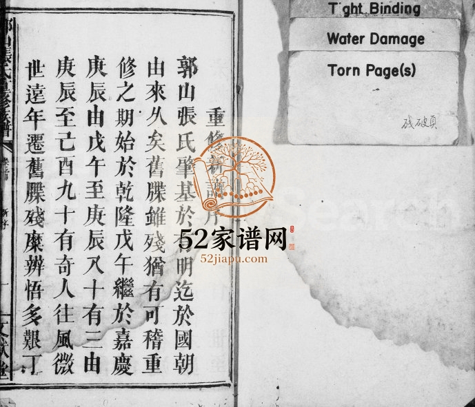 1909年郭山张氏重修族谱[3卷及卷首末]江西万载文献堂张姓电子版家谱下载