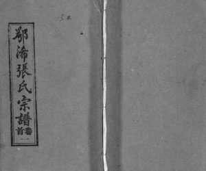 1993年修鄂浠张氏宗谱[8卷首6卷]湖北浠水 江西武宁两铭堂张姓电子版族谱下载