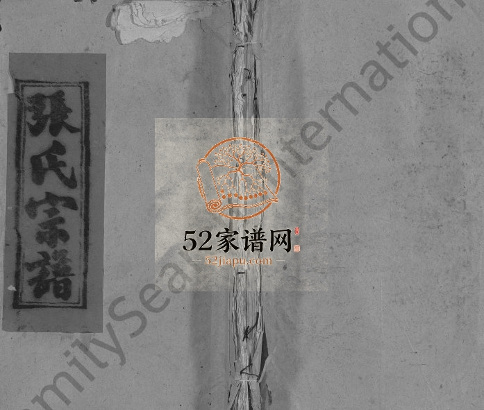 1946年修张氏宗谱[29卷首1卷另2卷]江西九江孝友堂张姓电子版族谱下载