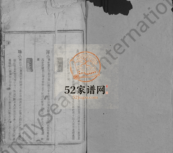 1946年修张氏宗谱[29卷首1卷另2卷]江西九江孝友堂张姓电子版族谱下载