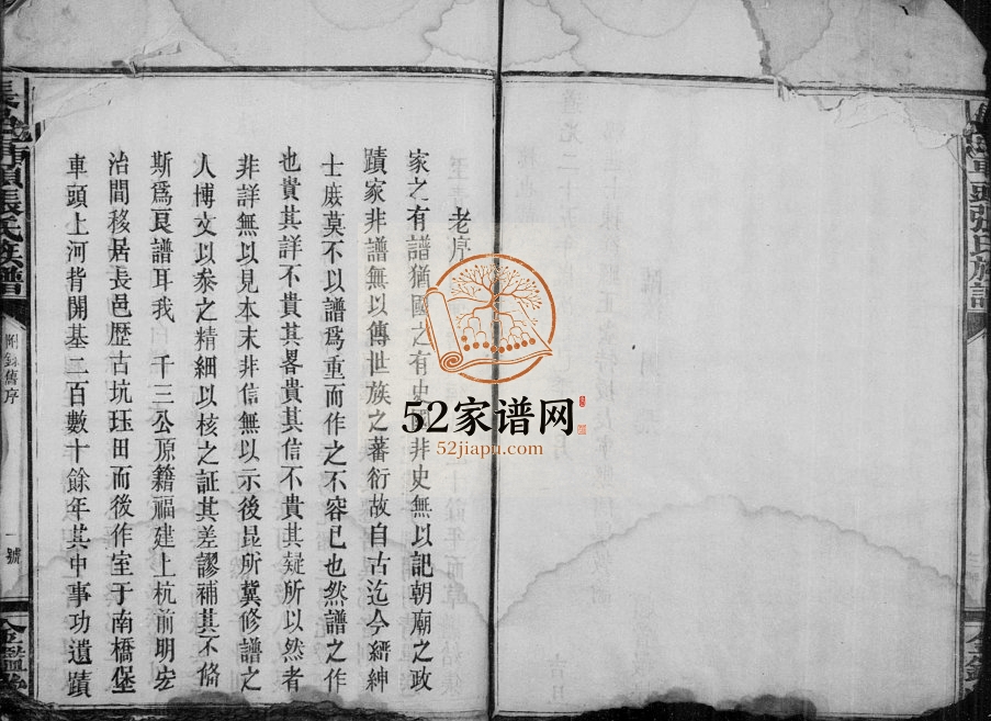 1913年修张氏族谱[不分卷]江西寻乌金鉴堂张姓电子版家谱下载