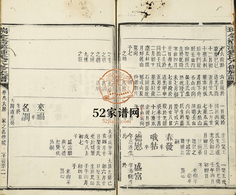 1895年瑞金清溪锺氏八修族谱 江西知音堂锺姓电子版家谱下载
