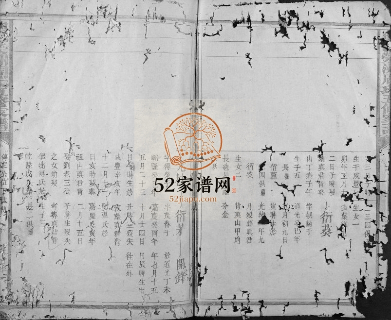1896年兴邑荣洲周氏五修族谱[不分卷]江西兴国周姓电子版家谱下载