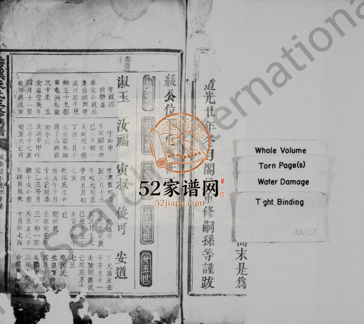 1840年重修秀溪朱氏三修族谱[残卷]江西吉水 万安朱姓电子版家谱下载